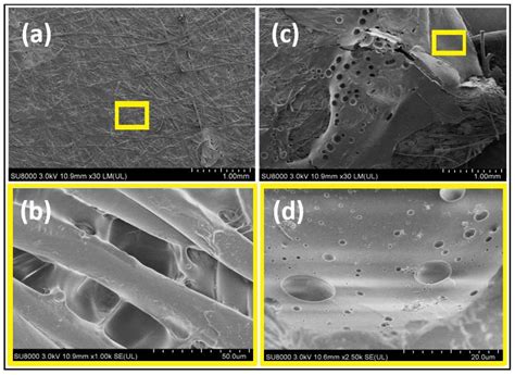 Investigation on Human Serum Protein Depositions Inside Polyvinylidene ...