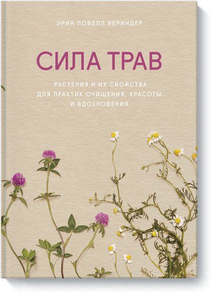 Как использовать силу растений и трав для физического и духовного ...