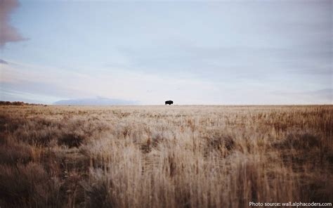 Unveiling the Sacred Symbols of the Great Plains Indians: A Journey Through Cultural Heritage