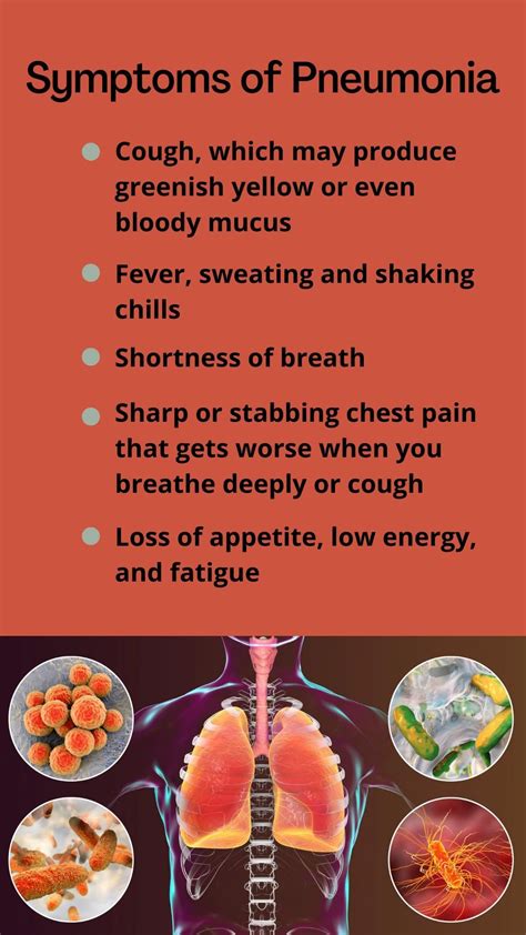 What are the 5 most common symptoms of pneumonia – Artofit