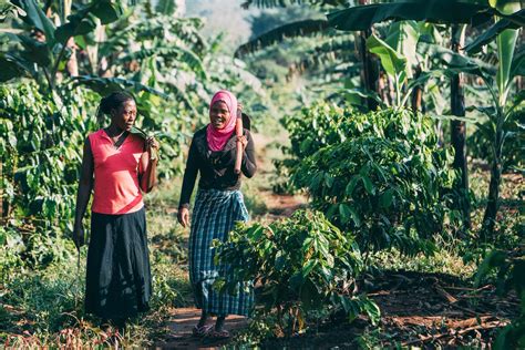 Climate Change and Women: Disproportionate Impact and Solutions - initiative for coffee&climate