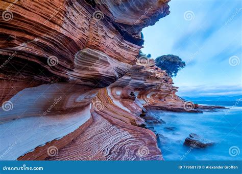 Image result for Sample Website Create in HTML