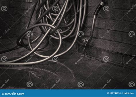A Garden Hose Leaking Water on the Pavement Stock Image - Image of water, hose: 122744731
