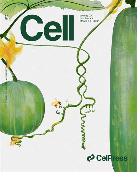 Cell封面高清 的图像结果