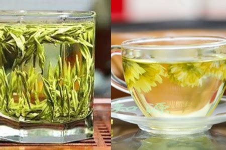 不同茶叶的不同养生作用-药茶康养-山西药茶网-茶的味道，药的功效