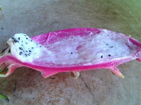 Show, How to eat Dragon Fruit Raw Without Spoon - Aerk Dragon Fruit