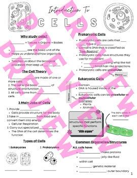 Tutorials for Cells 的图像结果