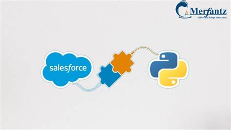 Python Life Salesforce 的图像结果