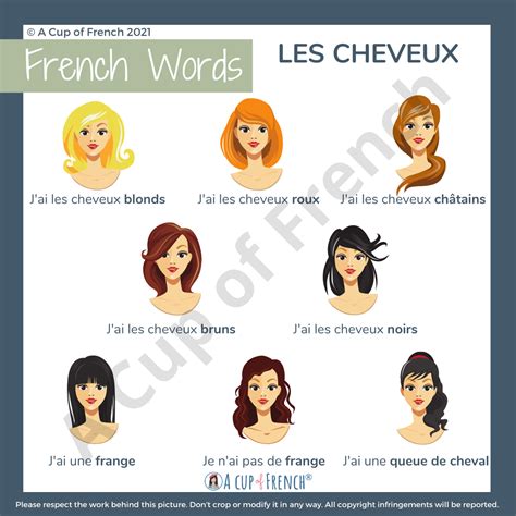 I Have Black Hair In French at Louise Costa blog