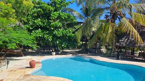 MPOLE BUNGALOWS (Michamvi, Zanzibar Island) - Guesthouse Reviews ...