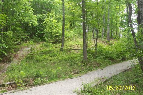 Image result for Patsy Cline Air Crash