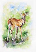 Image result for Cute Baby Deer Drawings Easy