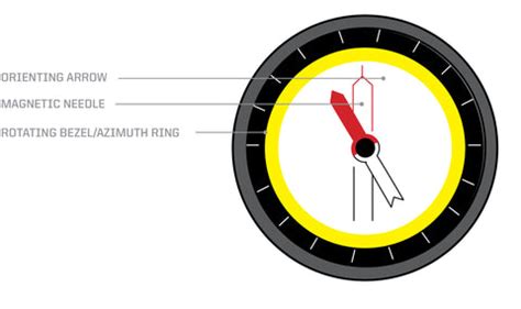 Image result for Basic Compass