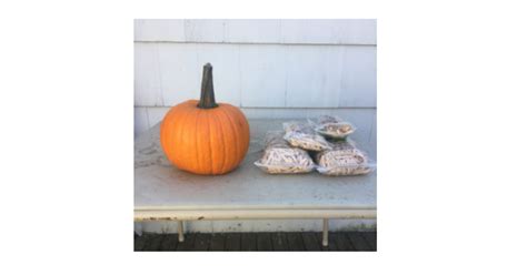 Image result for Exploding Pumpkin Experiment