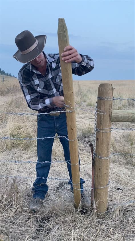 Image result for How to Pull Posts