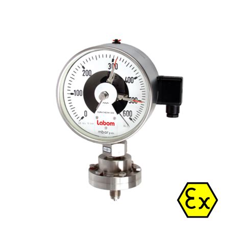 Labom Absolute Pressure Gauge BF2200 - Process Instruments