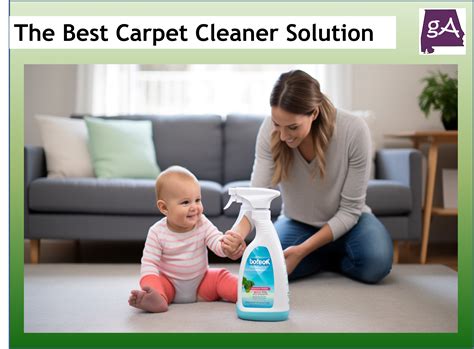 Explore The Best Carpet Cleaner Solution - Geek Alabama