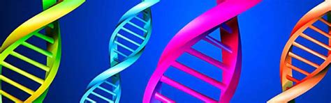 BIOGNOSYS TECHNOLOGIES (INDIA) PRIVATE LIMITED : Diagnosis Benchmarked ...