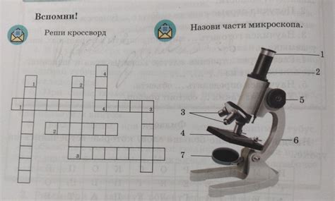 Вспомни! Реши кроссворд 3 3 4 7 Назови части микроскопа. дочь DLA -5 6 ...