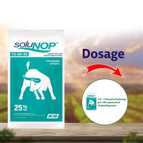 K+S SoluNOP 13:0:45 Fertilizers - 1 KG – Agriplex
