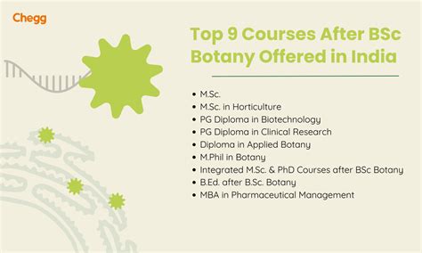 Top 9 Courses After BSc Botany in 2025: Career Scope, Salary & Future ...