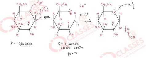 Class12 ISC Chemistry Chapter Biomolecules