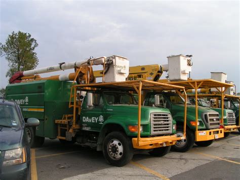 Davey Tree Service 的图像结果