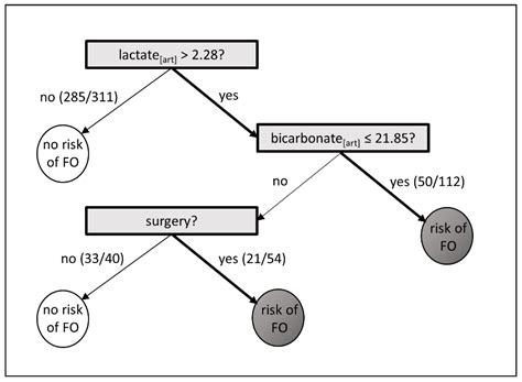 Fluid Overload Phenotypes in Critical Illness—A Machine Learning Approach