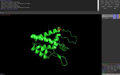 Image result for PyMOL Demo