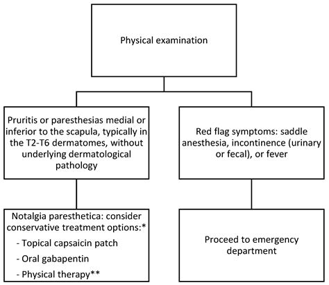 Notalgia Paresthetica Review: Update on Presentation, Pathophysiology ...