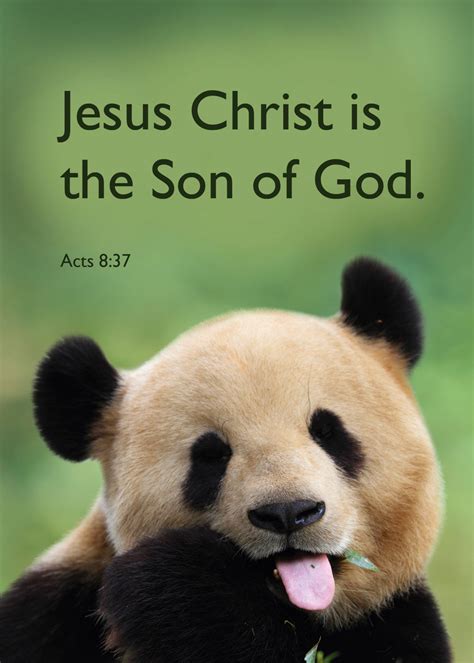 Acts 8:37 – International Bible House