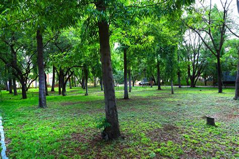 Gallery | Mepco - The Metal Powder Company Ltd