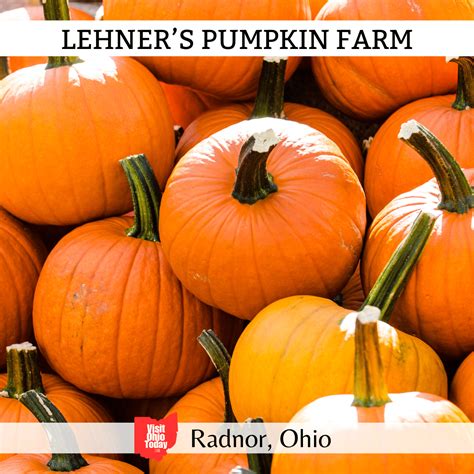 Lehners Pumpkin Farm - Visit Ohio Today