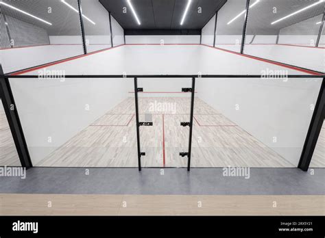 Squash Sport 的图像结果