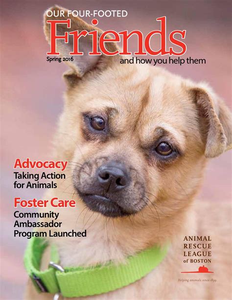 Our Four Footed Friends Spring 2016 by Animal Rescue League of Boston ...