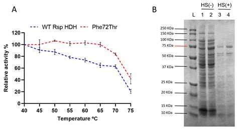 Modulating Substrate Specificity of Rhizobium sp. Histamine ...
