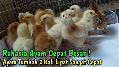 Image result for Merge Sort Stack
