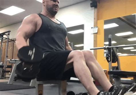 Basic Weight Training 的图像结果