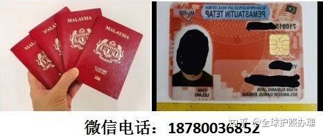 纯外籍国际学校必备护照 好用不贵，赶紧入手一本 - 知乎