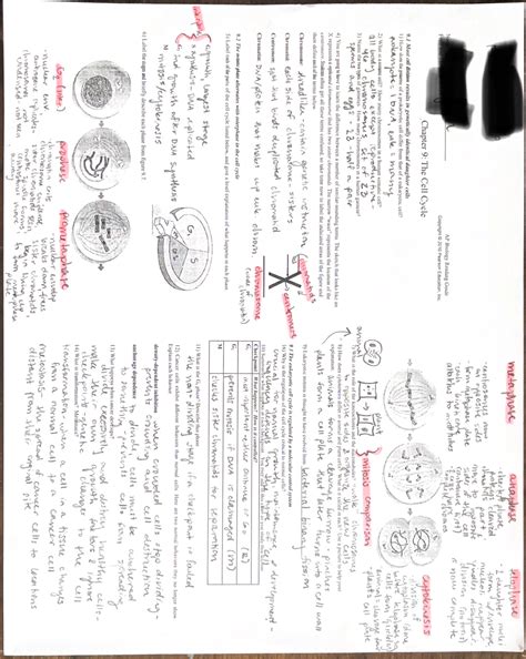 AP Biology Unit 6 Reading Guide - Studocu