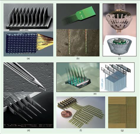 Image result for Neural Processsing Adapter