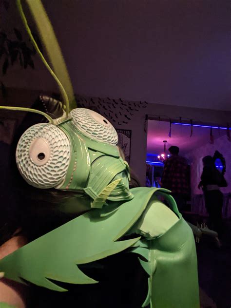 Praying Mantis Costume | Bird costume, Costumes, Cool costumes