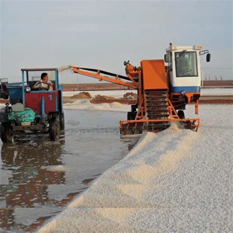 Image result for Salt Production Machine