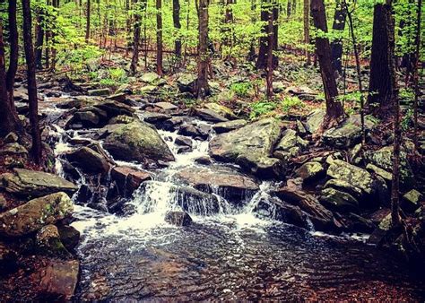 Randolph Tourism (2023): Best of Randolph, NJ - Tripadvisor