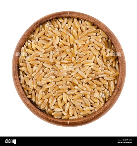 Kamut Khorasan wheat in a wooden bowl on white background. Grains of ...