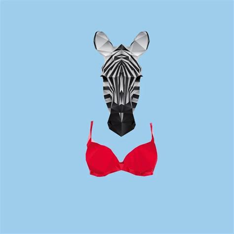 Z-Bra is for you! : r/puns