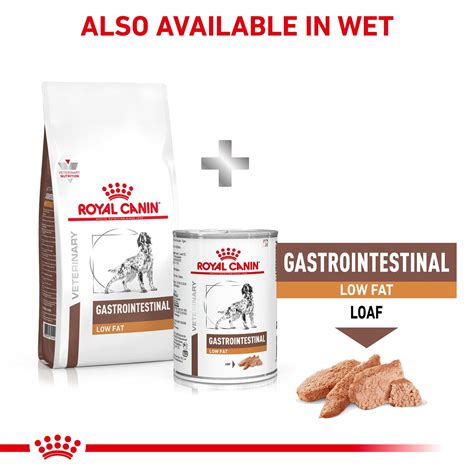 Royal Canin Veterinary Diet Gastrointestinal Low Fat Adult Dry Dog Foo