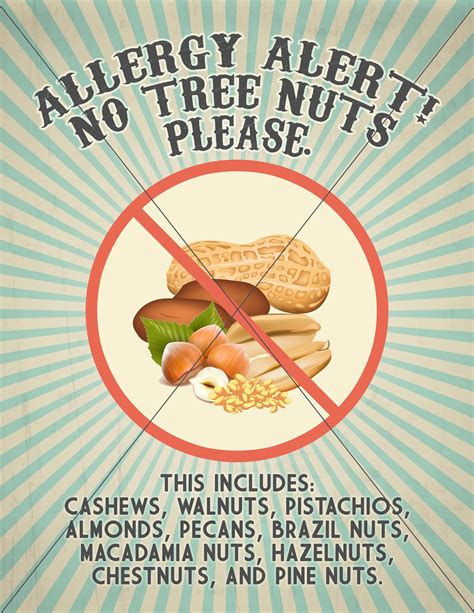 Tree Nut Allergy Sign, PRINTABLE INSTANT DOWNLOAD, Classroom, Daycare or Home Sign, Nut Allergy ...