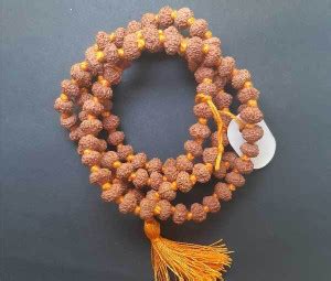 Rudraksh Necklaces Chains - Buy Rudraksh Necklaces Chains Online at ...