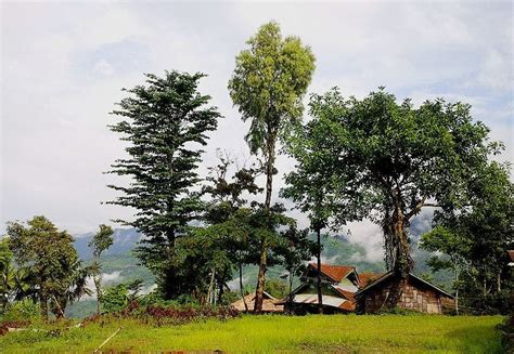 Visit Mon In Nagaland | LBB, Kolkata